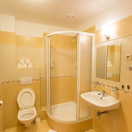 酒店 Na Kocande 2*